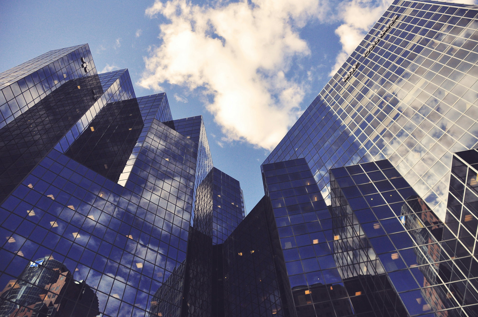 low-angle-photo-of-curtain-wall-building.jpg low angle photo of curtain wall building